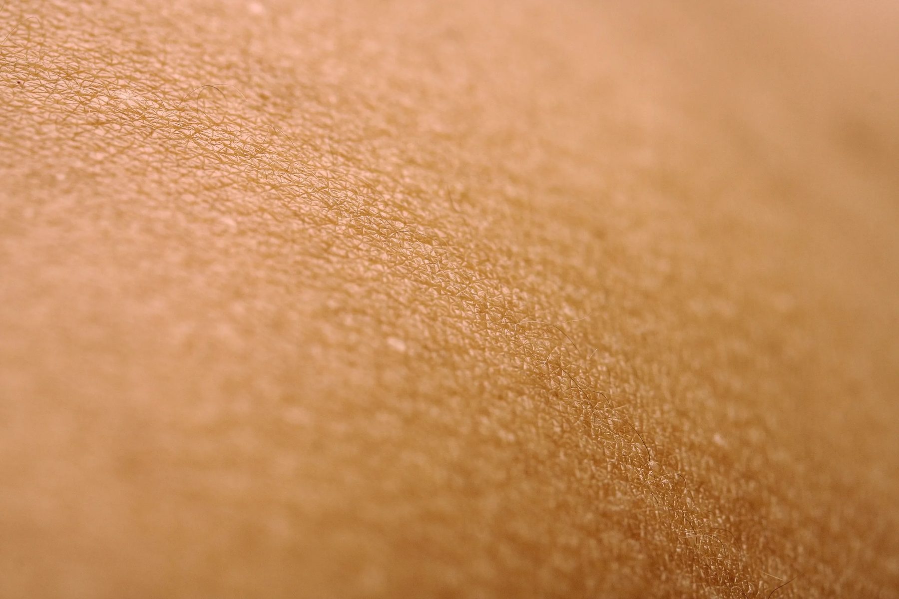 Macro of smooth skin texture in warm light